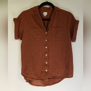 A New Day- Button Down Top, Brown with Copper Pin Stripes